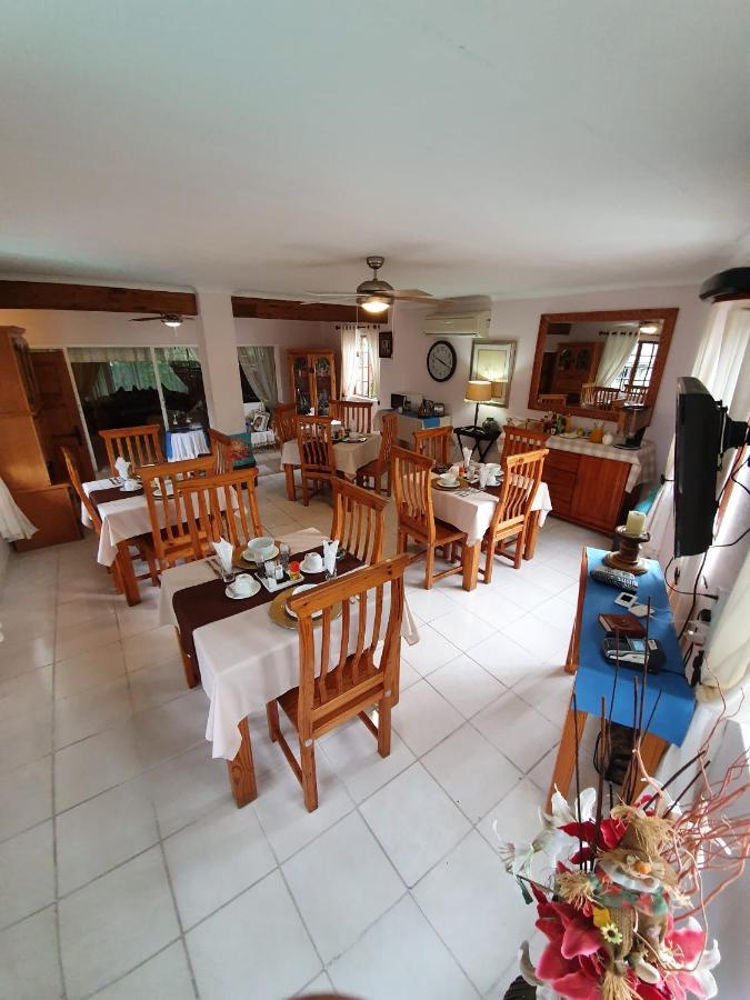 Harmony Guesthouse 넬스프리트 외부 사진